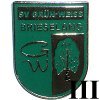 Sportverein Grün-Weiß Brieselang III